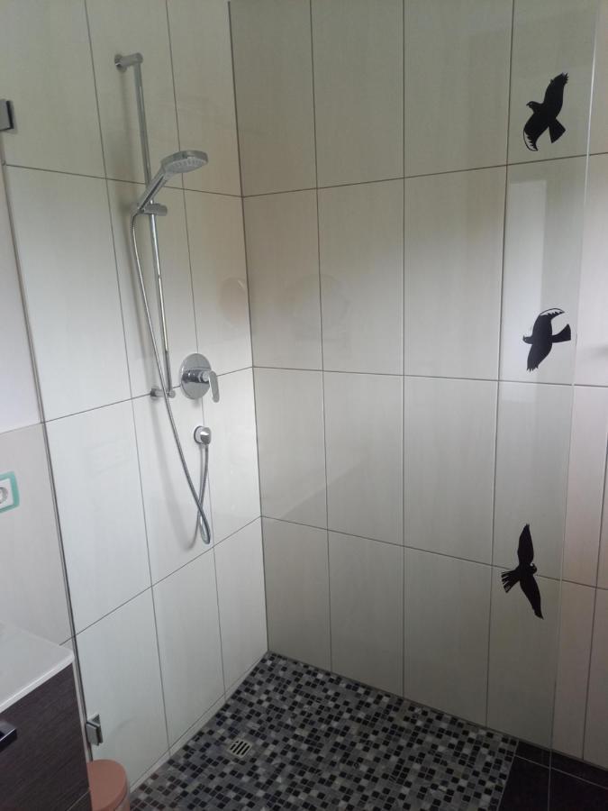 Appartement Alexander Neukirchen am Großvenediger Zewnętrze zdjęcie
